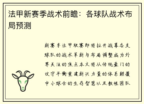 法甲新赛季战术前瞻：各球队战术布局预测
